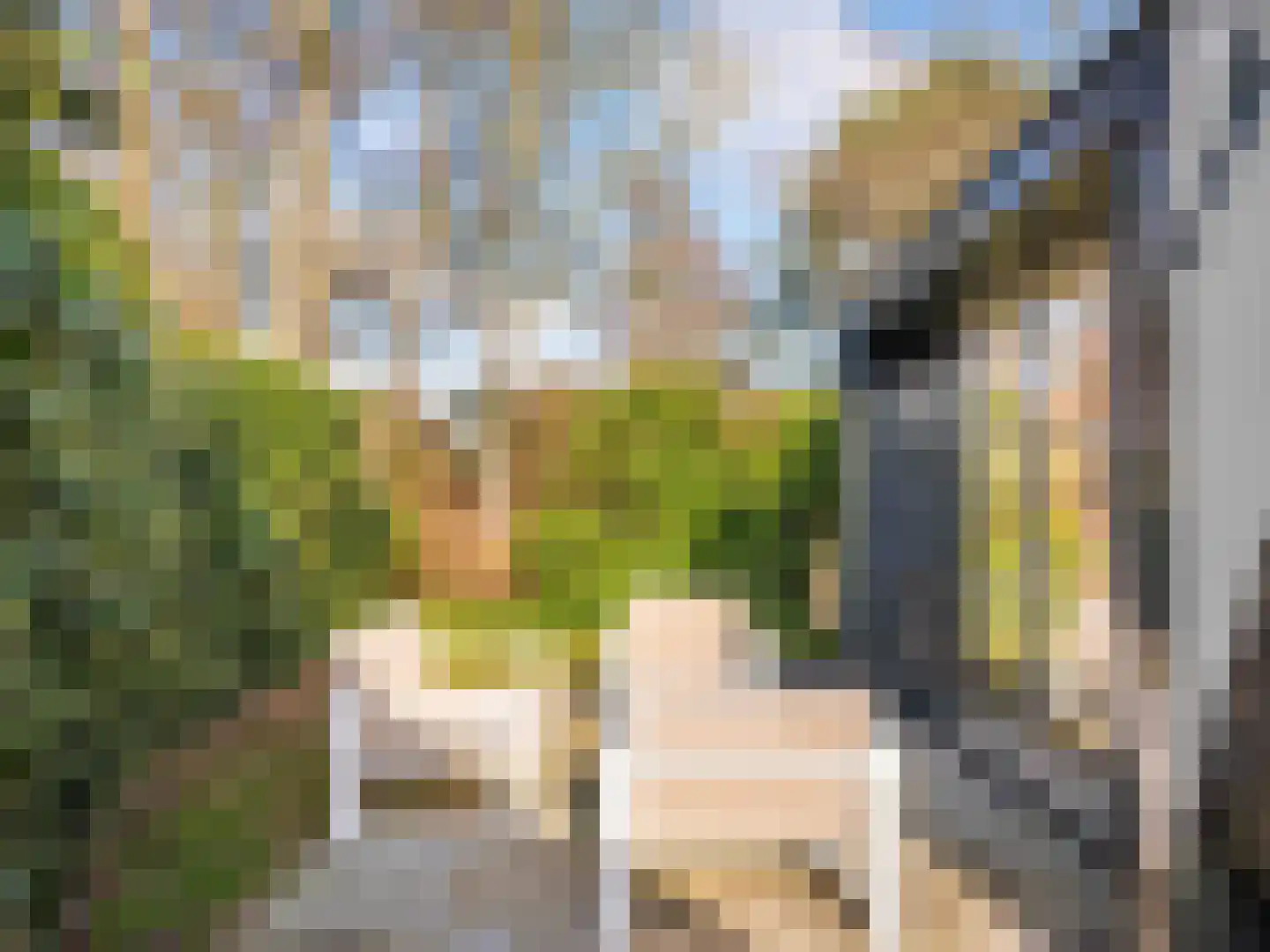 Burgemeester Peecklaan 8 001 Schoorl thumbnail 31