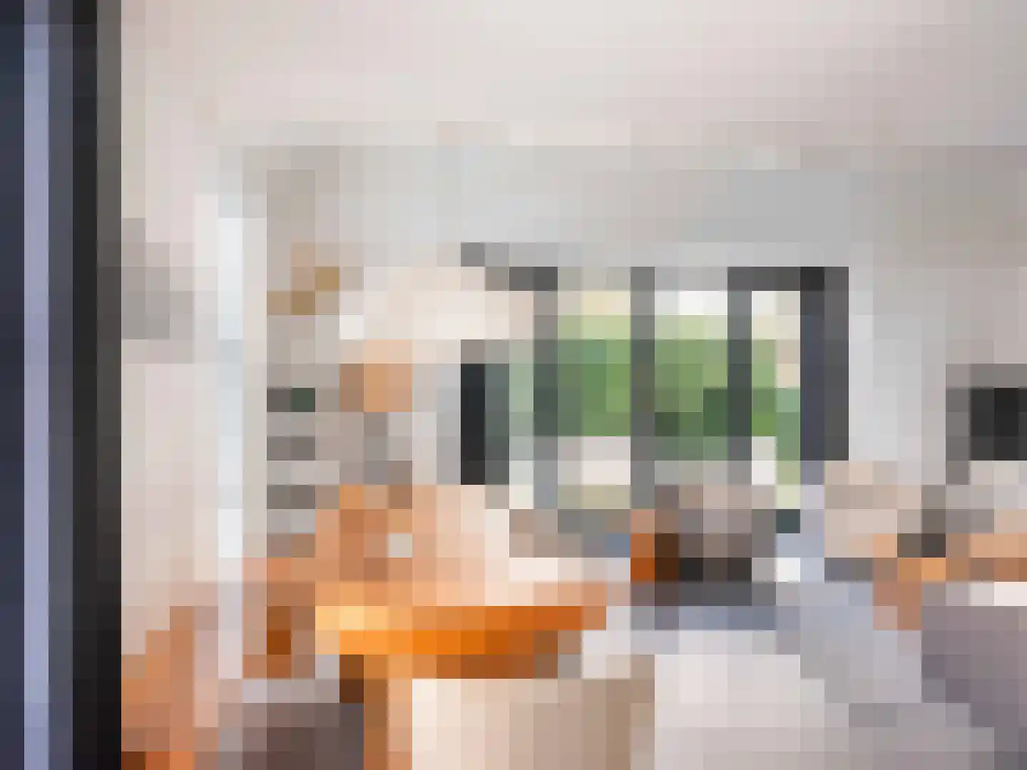 Burgemeester Peecklaan 8 001 Schoorl thumbnail 5