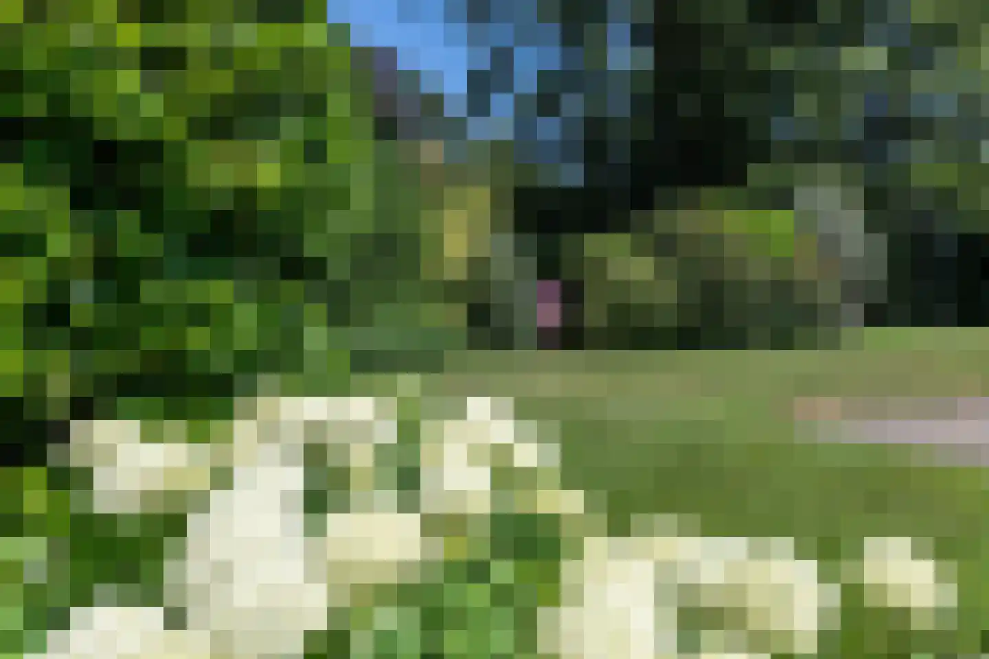 Burgemeester Peereboom Vollerlaan 2 Aerdenhout thumbnail 5