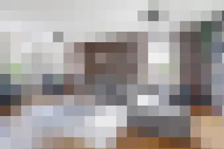 Burgemeester Penstraat 41 Baarn thumbnail 7