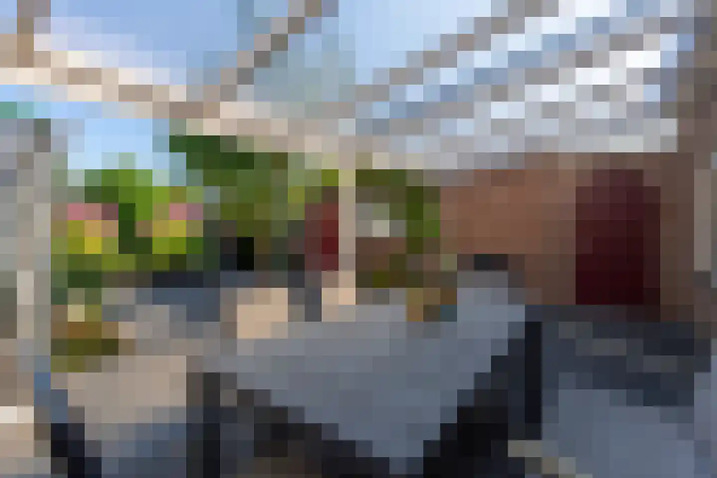 Burgemeester Philipsenstraat 35 Goirle thumbnail 33