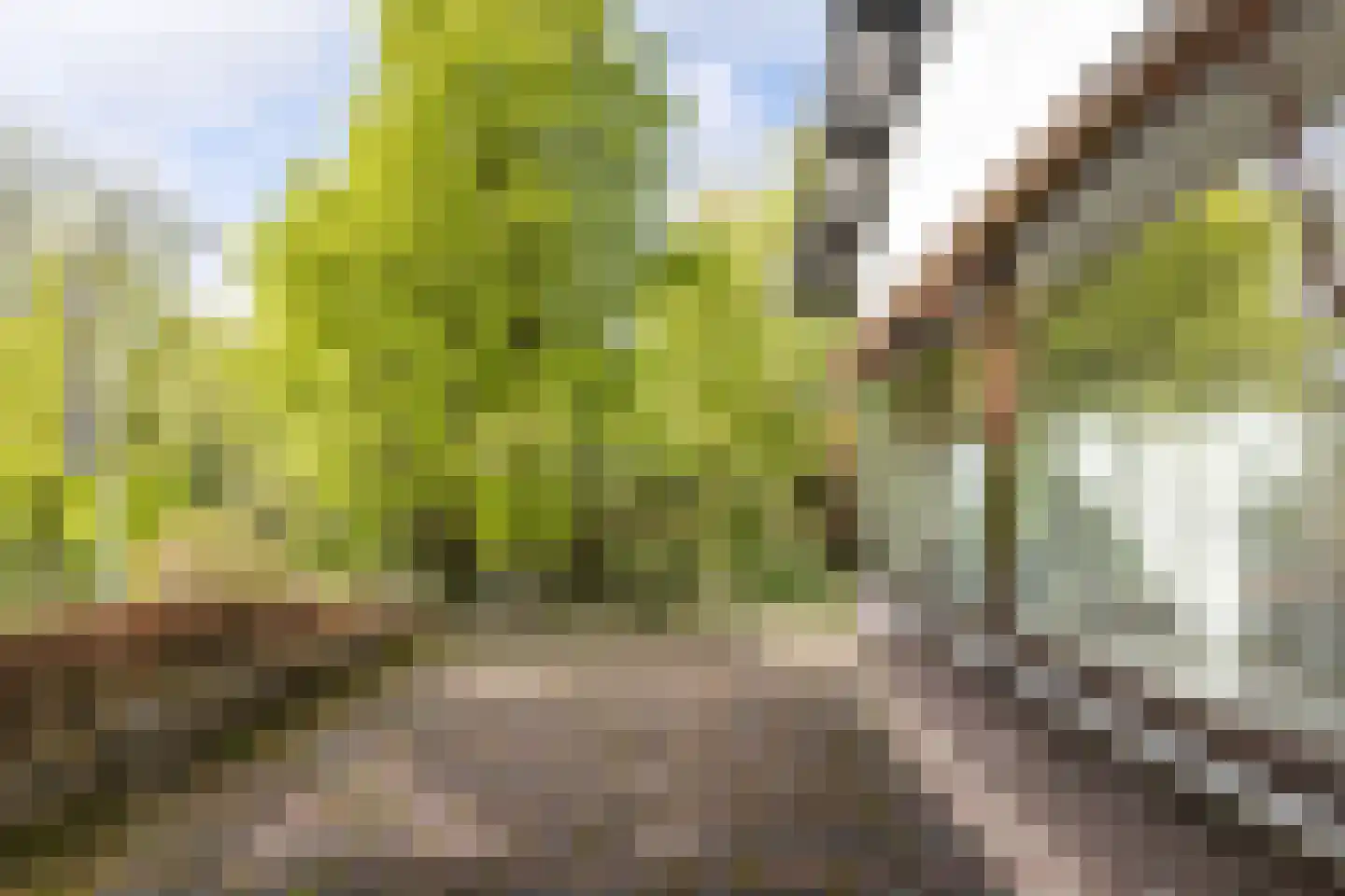 Burgemeester Pijlsstraat 16 Schinnen thumbnail 40