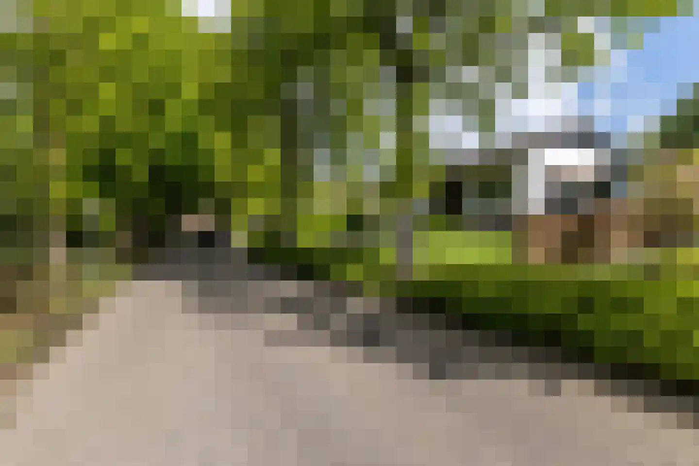 Burgemeester Pijlsstraat 16 Schinnen thumbnail 44