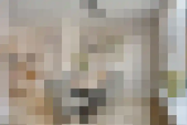 Burgemeester Ploegmakerslaan 1 Oss thumbnail 12