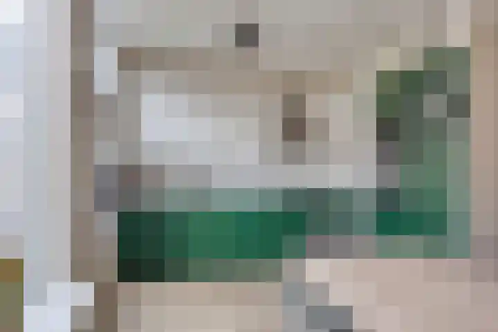Burgemeester Ploegmakerslaan 1 Oss thumbnail 13