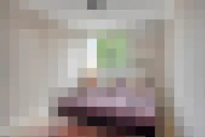 Burgemeester Ploegmakerslaan 1 Oss thumbnail 22