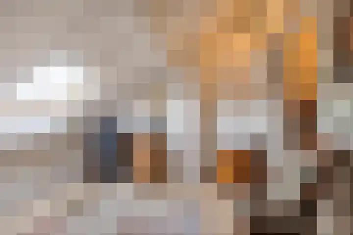 Burgemeester Ploegmakerslaan 1 Oss thumbnail 26