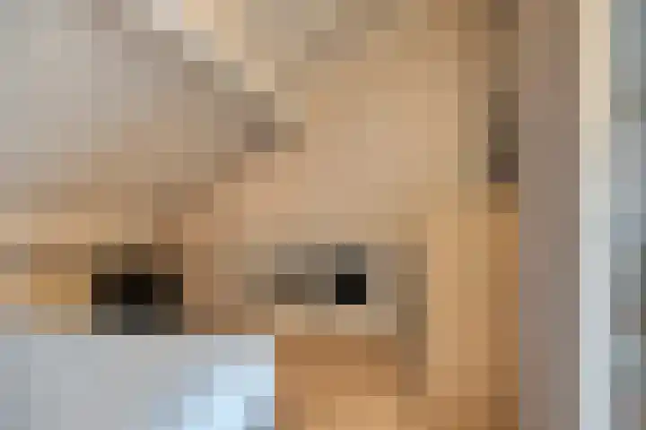 Burgemeester Ploegmakerslaan 1 Oss thumbnail 29