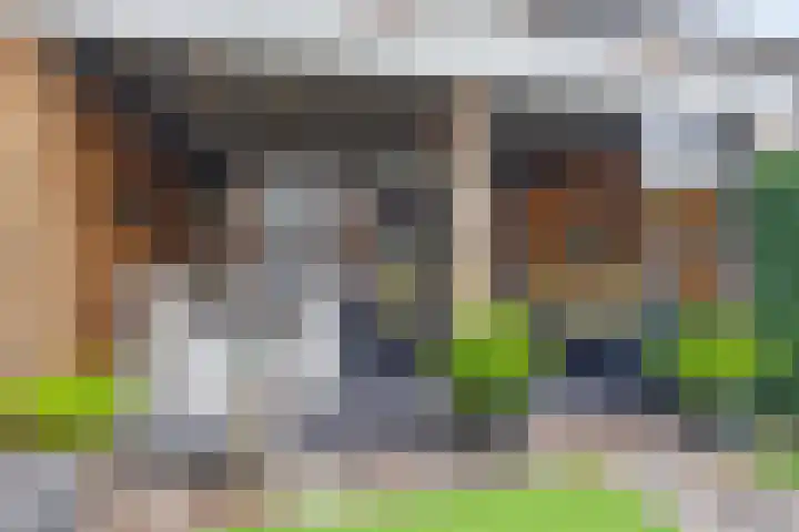 Burgemeester Ploegmakerslaan 1 Oss thumbnail 31