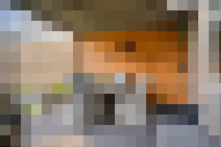 Burgemeester Ploegmakerslaan 1 Oss thumbnail 32