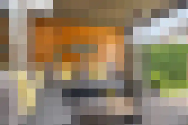 Burgemeester Ploegmakerslaan 1 Oss thumbnail 33