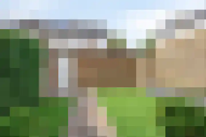Burgemeester Ploegmakerslaan 1 Oss thumbnail 35