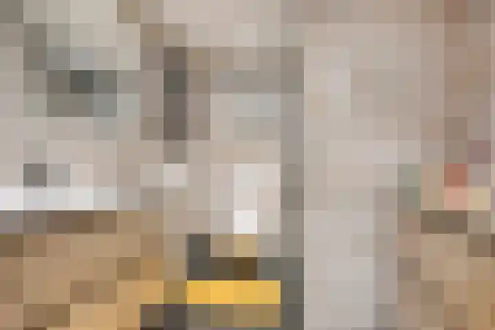 Burgemeester Ploegmakerslaan 1 Oss thumbnail 4
