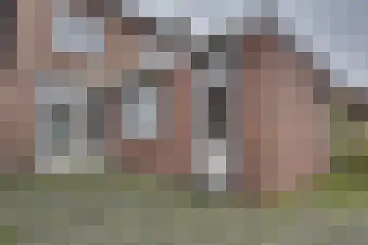 Burgemeester Ploegmakerslaan 11 Oss thumbnail 25