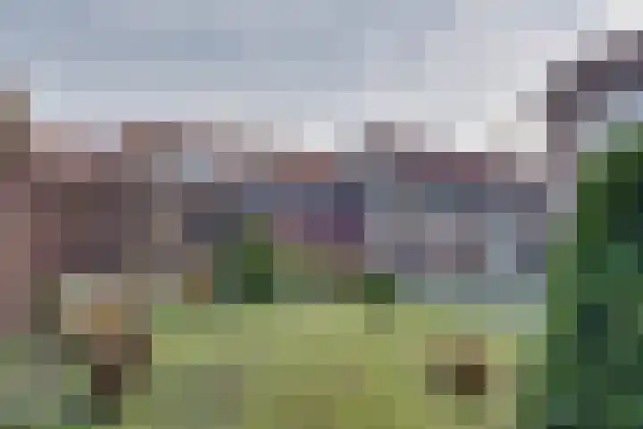 Burgemeester Ploegmakerslaan 11 Oss thumbnail 30