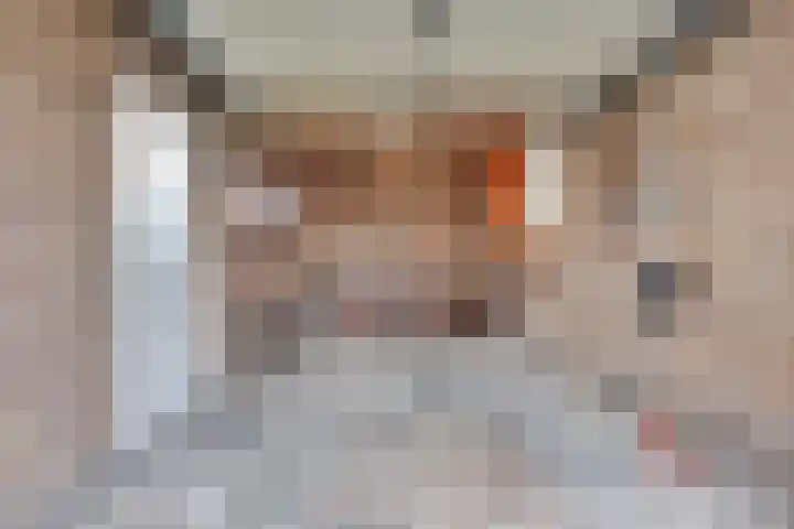Burgemeester Ploegmakerslaan 11 Oss thumbnail 33