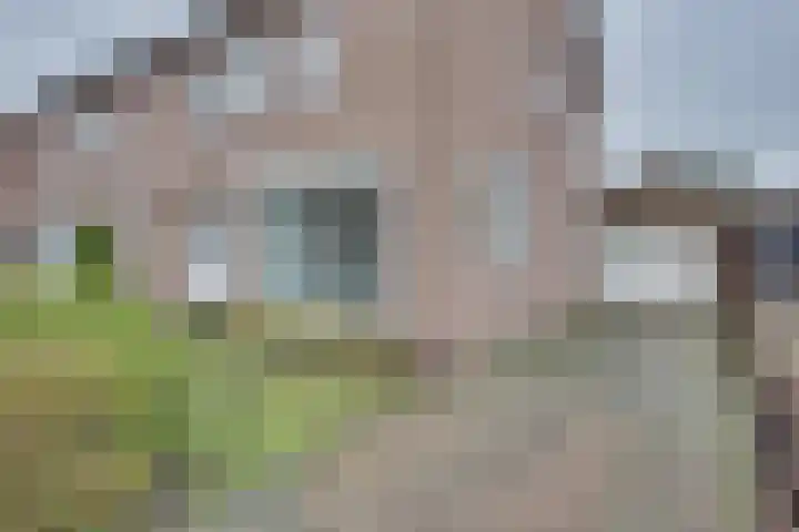 Burgemeester Ploegmakerslaan 11 Oss thumbnail 8