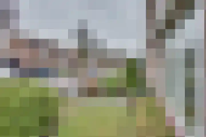 Burgemeester Ploegmakerslaan 11 Oss thumbnail 9