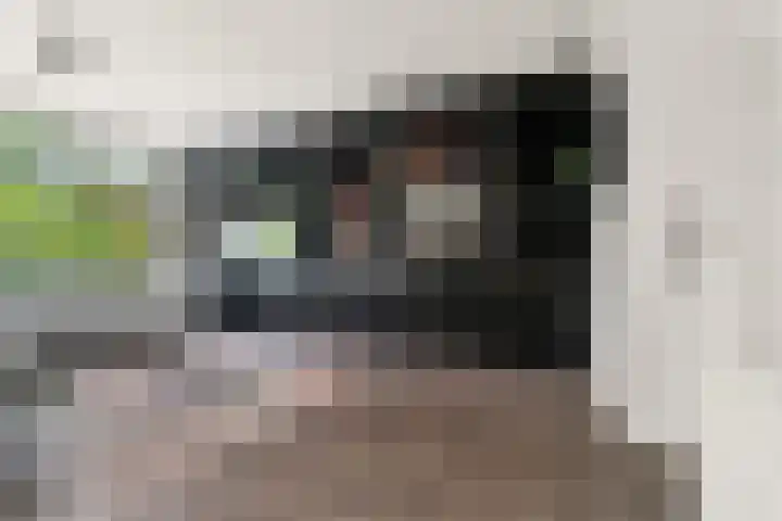 Burgemeester Ploegmakerslaan 111 Oss thumbnail 10