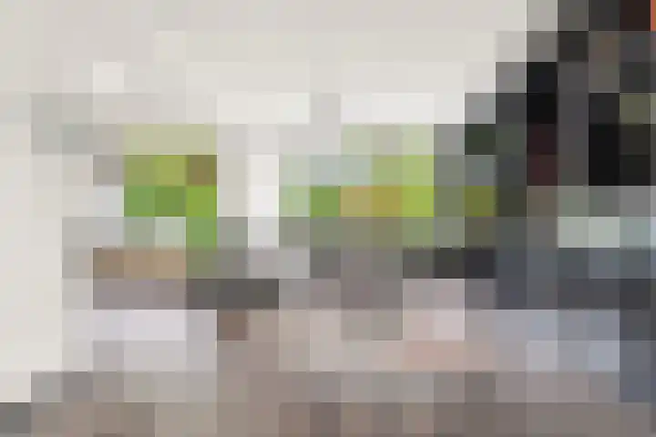Burgemeester Ploegmakerslaan 111 Oss thumbnail 12