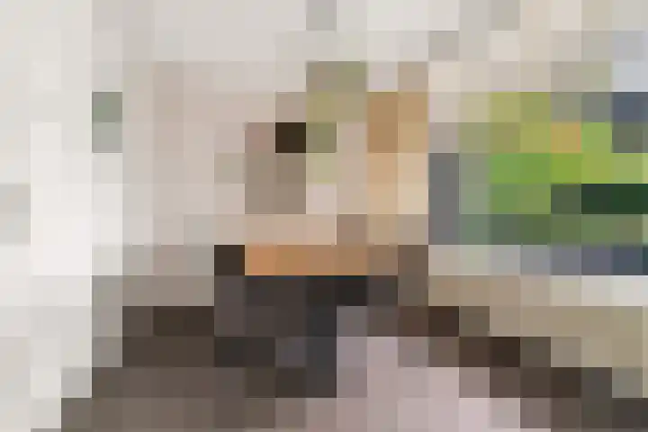 Burgemeester Ploegmakerslaan 111 Oss thumbnail 24