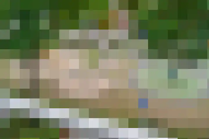 Burgemeester Ploegmakerslaan 111 Oss thumbnail 27