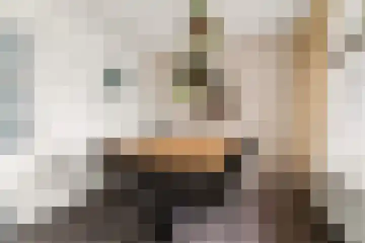 Burgemeester Ploegmakerslaan 111 Oss thumbnail 29