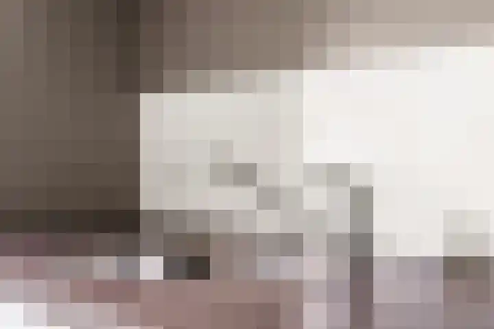 Burgemeester Ploegmakerslaan 111 Oss thumbnail 36