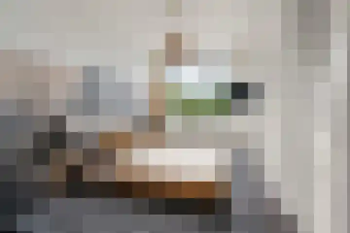 Burgemeester Ploegmakerslaan 111 Oss thumbnail 42