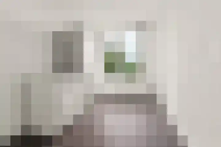 Burgemeester Ploegmakerslaan 111 Oss thumbnail 49