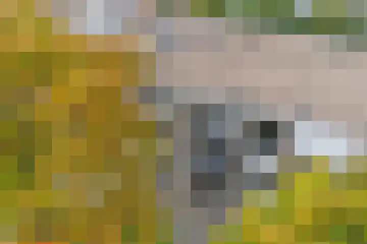 Burgemeester Ploegmakerslaan 111 Oss thumbnail 54