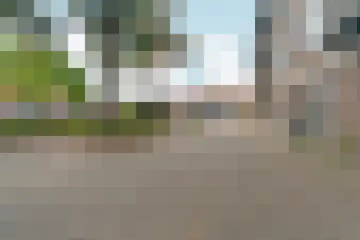 Burgemeester Ploegmakerslaan 111 Oss thumbnail 6