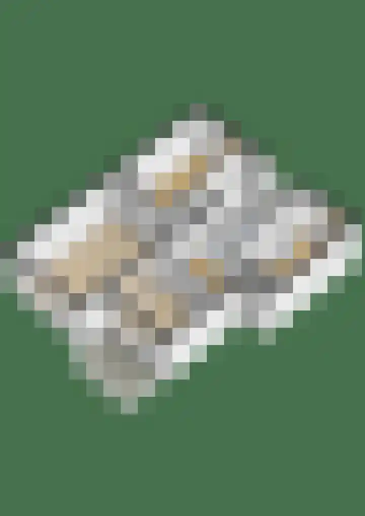 Burgemeester Ploegmakerslaan 111 Oss thumbnail 60