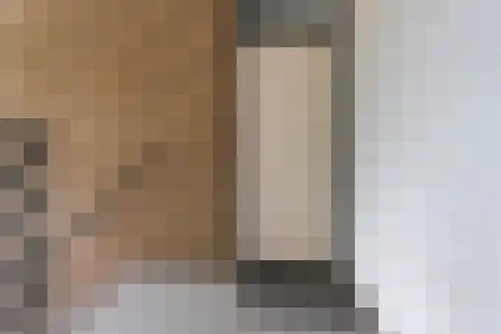 Burgemeester Ploegmakerslaan 111 Oss thumbnail 9