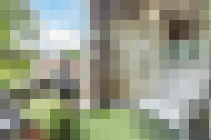 Burgemeester Ploegmakerslaan 113 Oss thumbnail 12