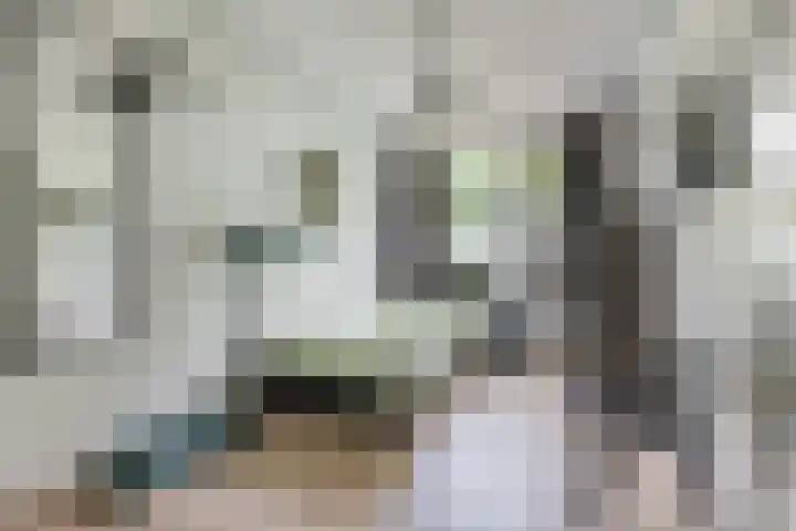 Burgemeester Ploegmakerslaan 113 Oss thumbnail 13