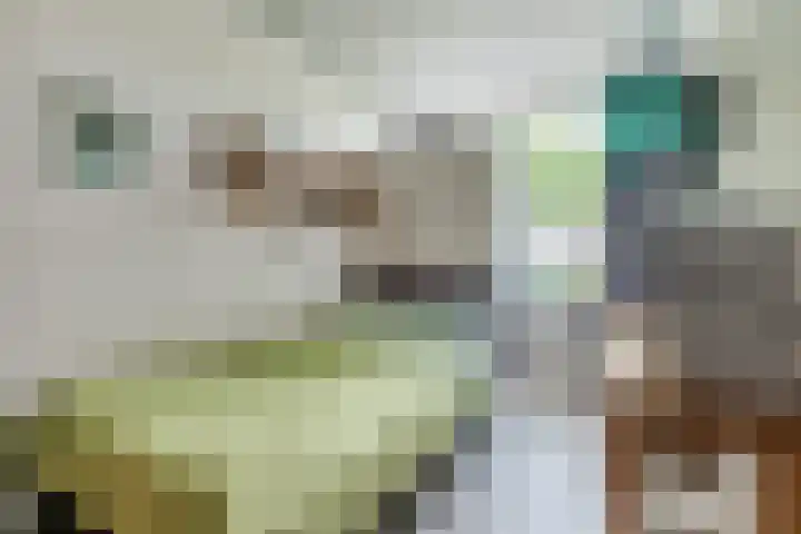 Burgemeester Ploegmakerslaan 113 Oss thumbnail 8