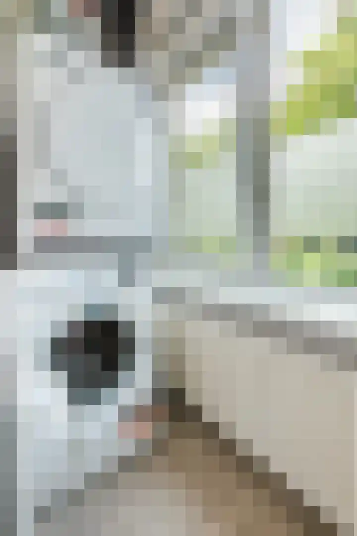 Burgemeester Ploegmakerslaan 113 Oss thumbnail 9