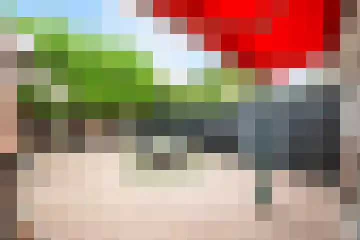 Burgemeester Ploegmakerslaan 14 Oss thumbnail 22