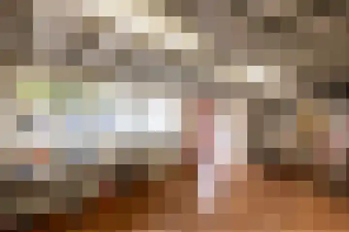 Burgemeester Ploegmakerslaan 14 Oss thumbnail 23