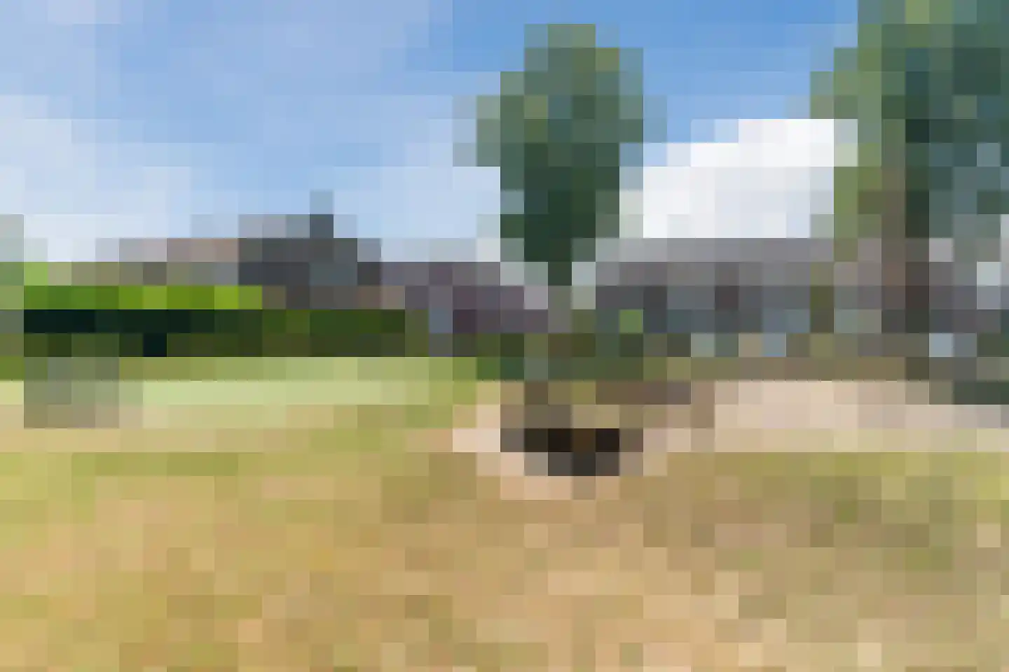 Burgemeester Ploegmakerslaan 61 Oss thumbnail 46