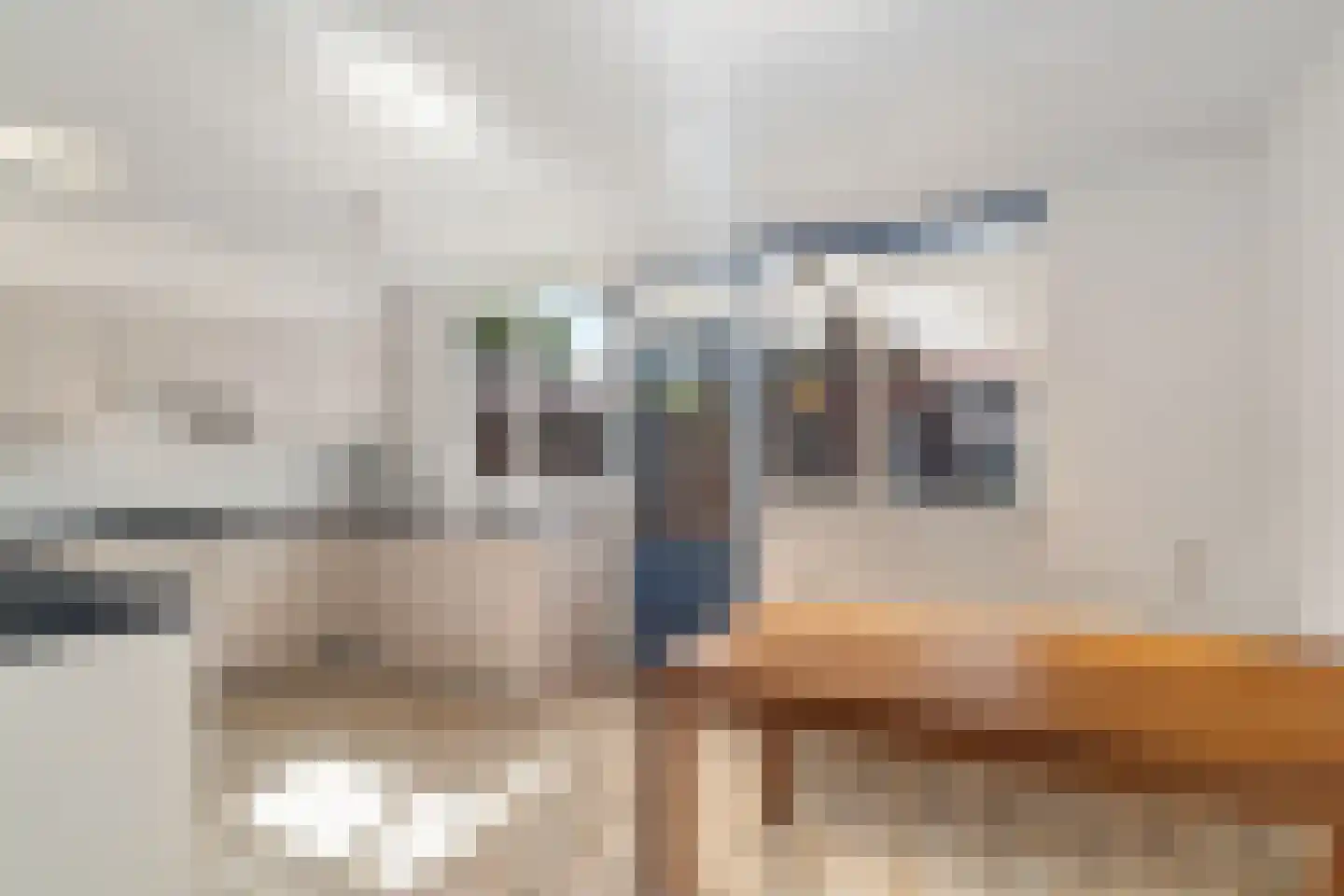 Burgemeester Ploegmakerslaan 66 Oss thumbnail 14