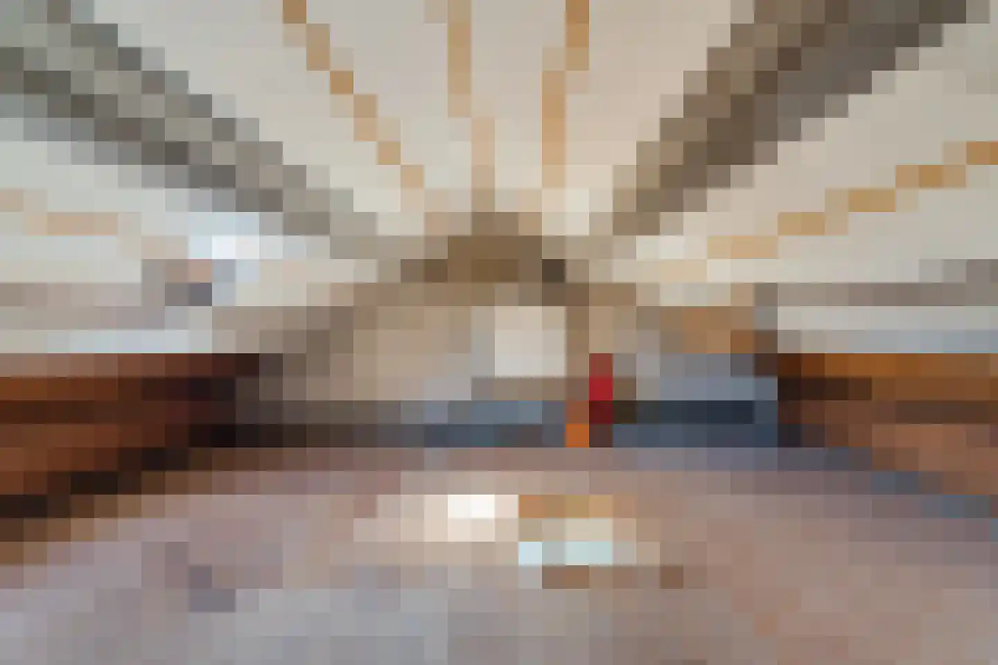Burgemeester Ploegmakerslaan 66 Oss thumbnail 21