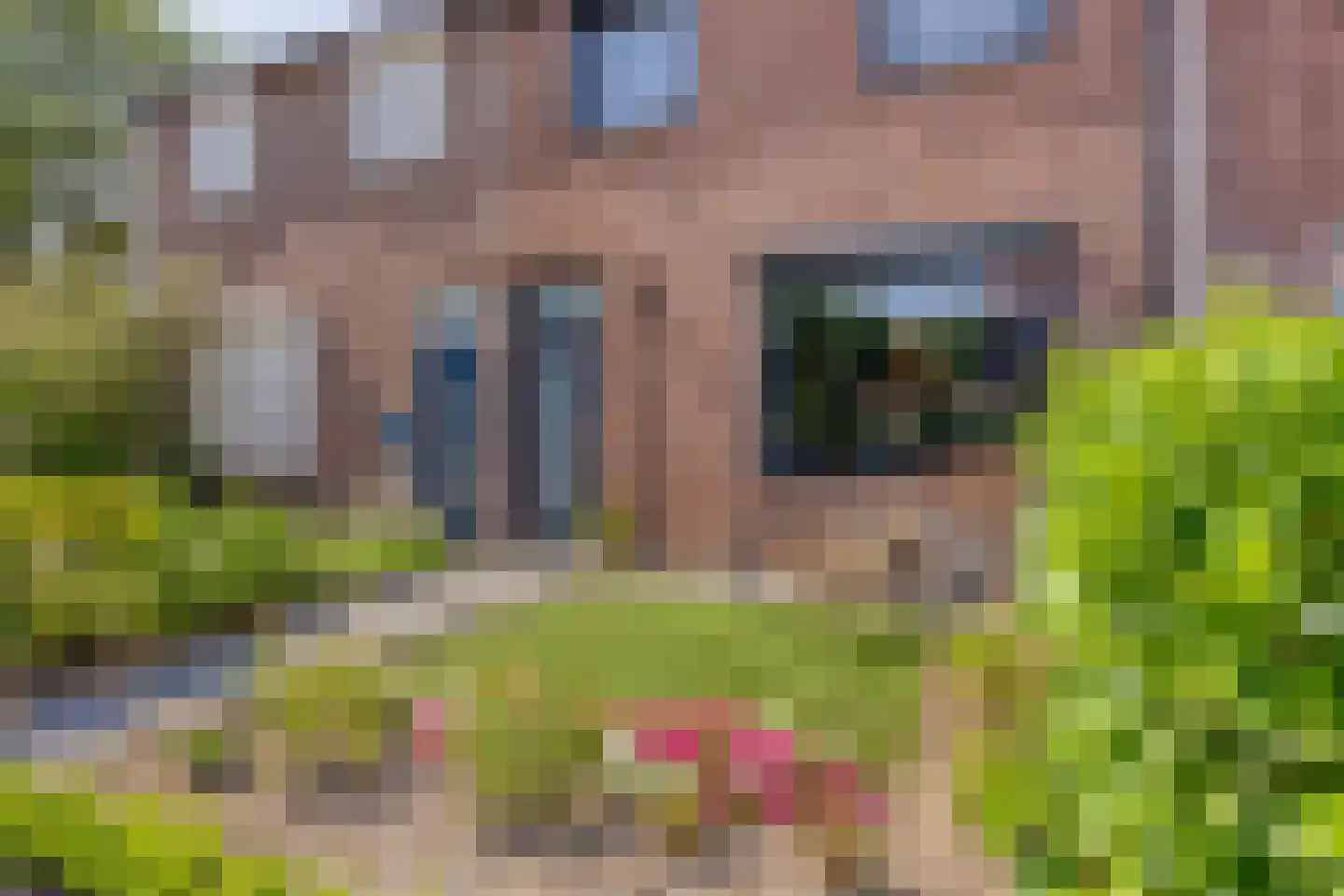 Burgemeester Ploegmakerslaan 79 Oss thumbnail 38