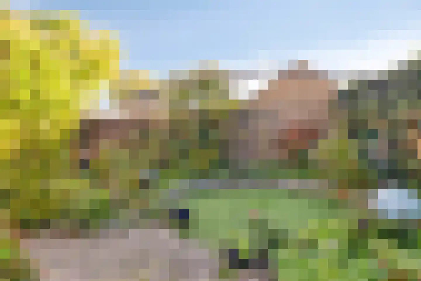 Burgemeester Ploegmakerslaan 8 Oss thumbnail 25