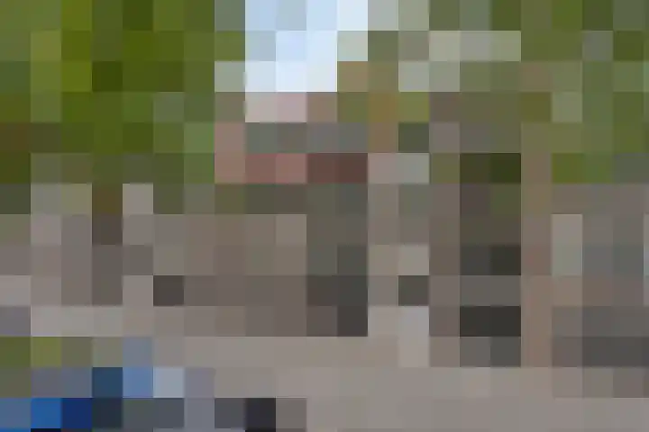 Burgemeester Ploegmakerslaan 99 Oss thumbnail 4