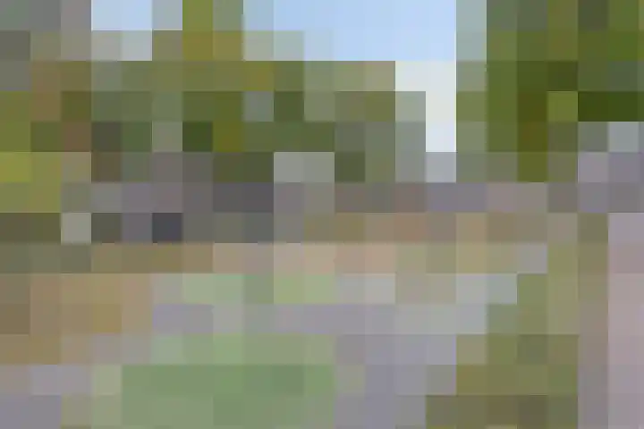 Burgemeester Ploegmakerslaan 99 Oss thumbnail 7