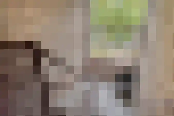 Burgemeester Ploegmakerslaan 99 Oss thumbnail 9