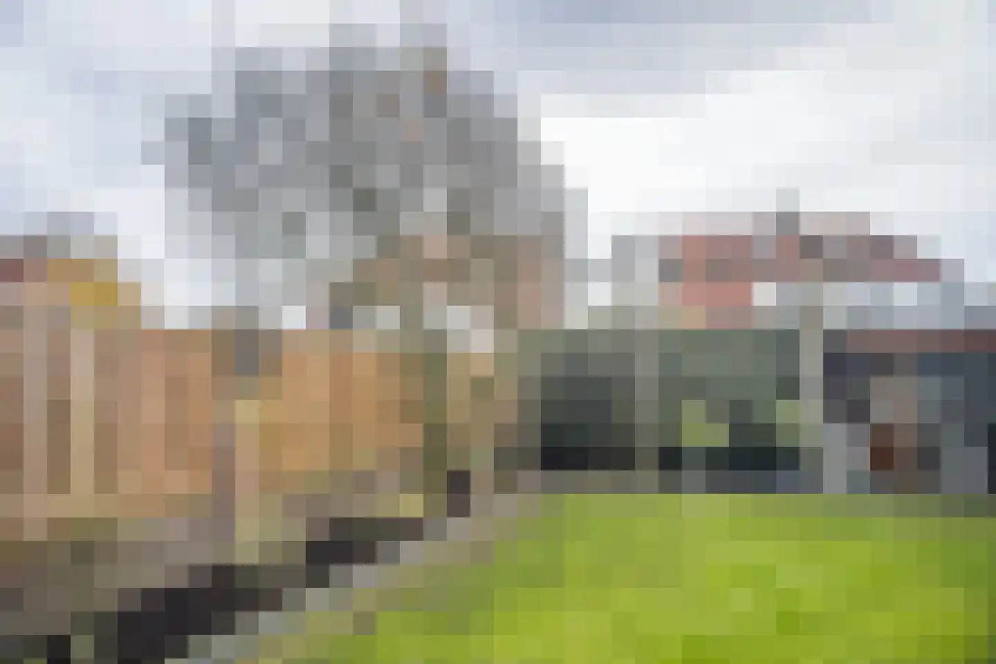 Burgemeester Poortstraat 30 Moergestel thumbnail 37