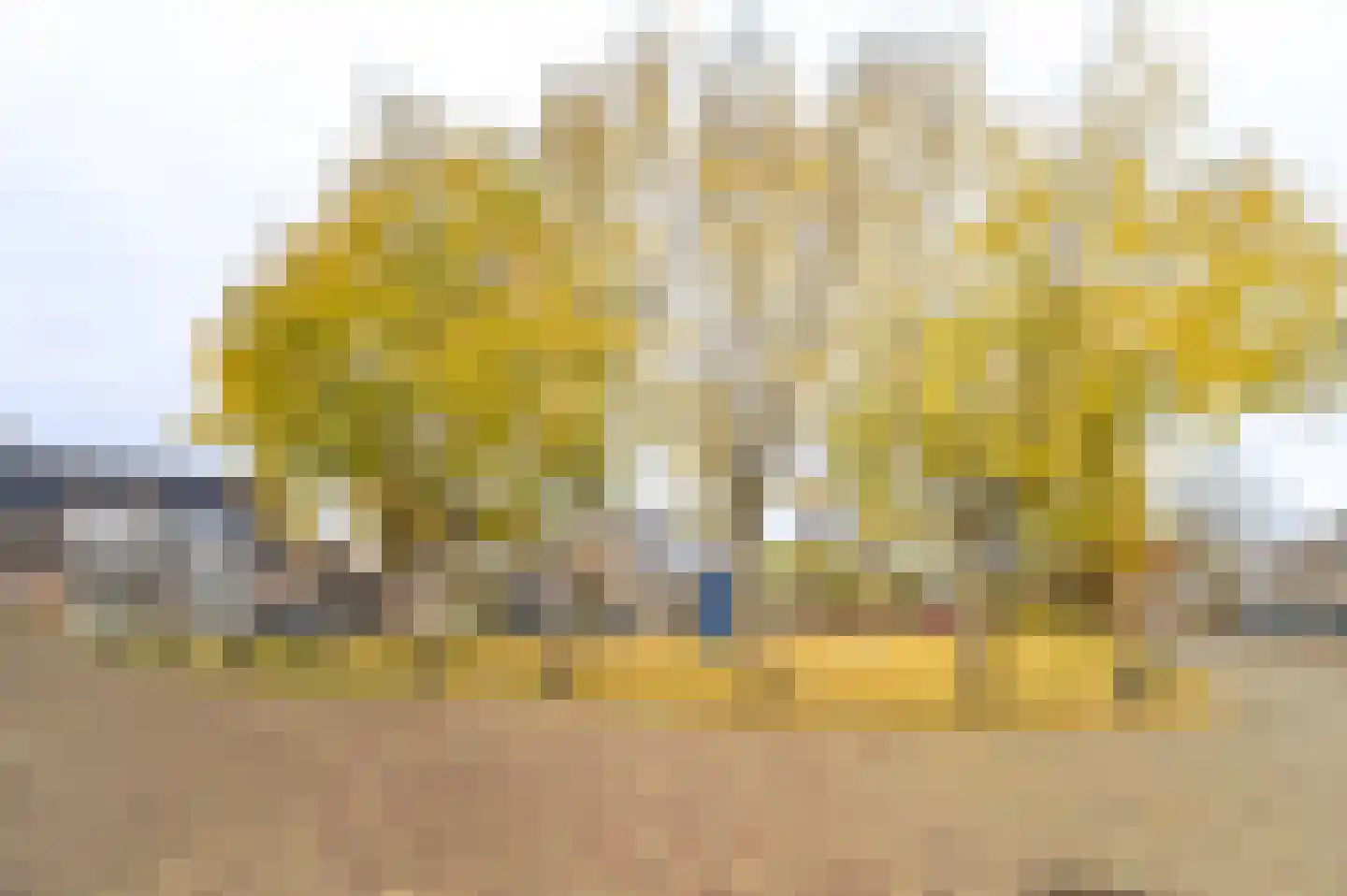 Burgemeester Poortstraat 30 Moergestel thumbnail 46